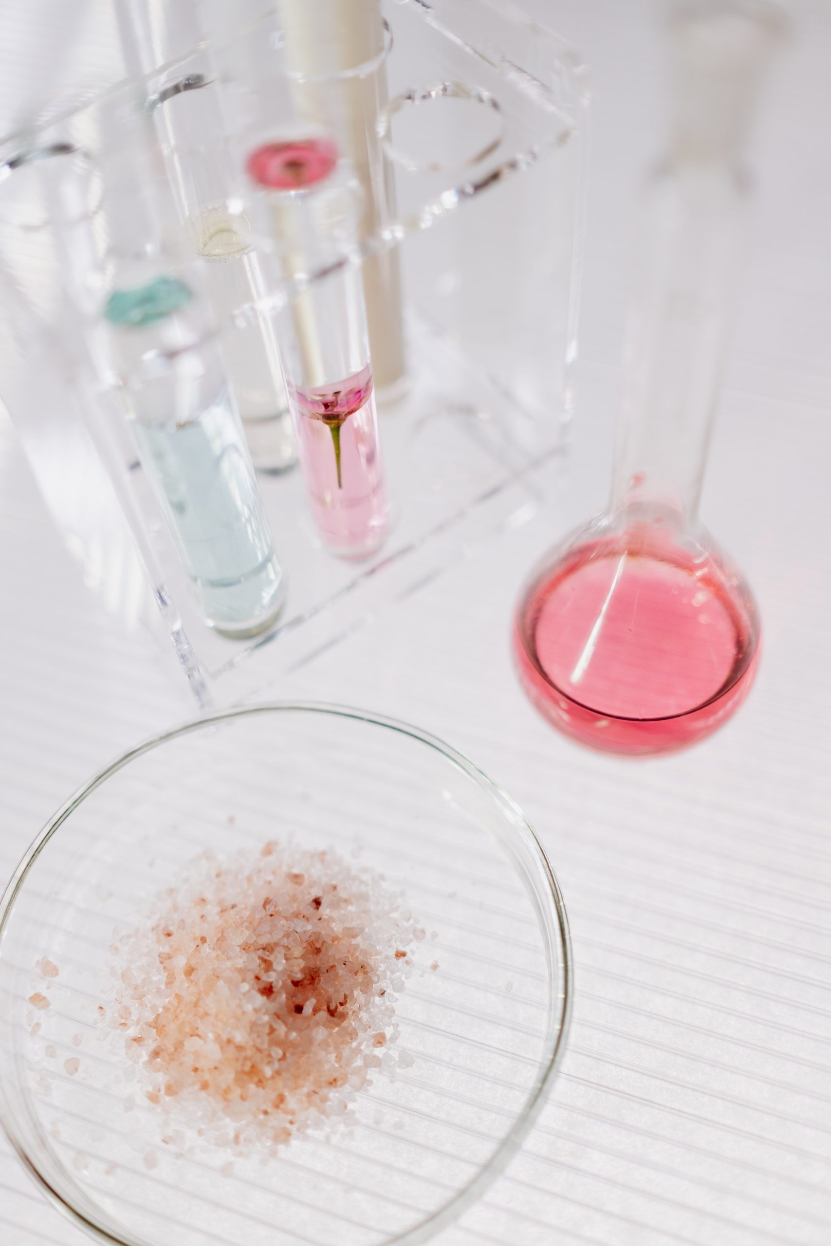 Ночная культура клеток. Культура клеток. Колонии бактерий в чашке петри. Чашка петри немытые. Пепе с чашкой.